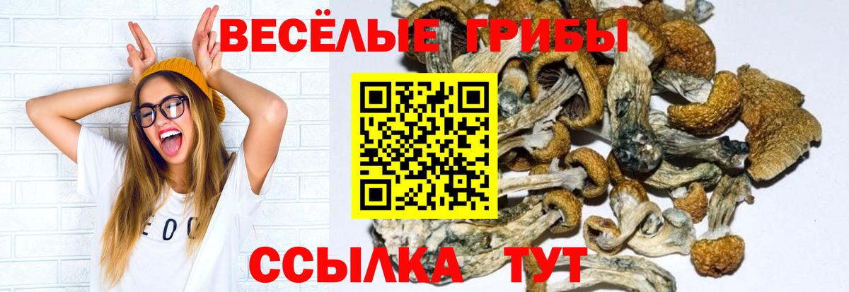 цены наркотик  Галлюциногенные грибы MAGIC MUSHROOMS  Вход с VPN  Муром  Галлюциногенные грибы Magic Shrooms 