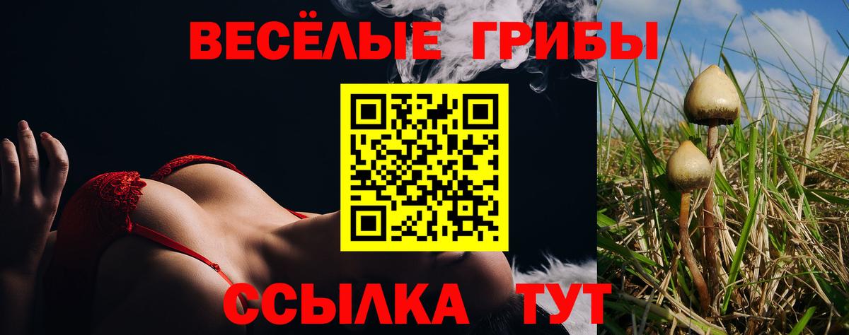 Галлюциногенные грибы GOLDEN TEACHER Муром